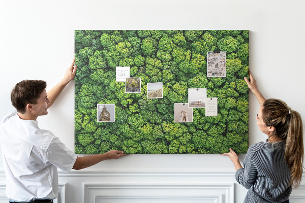 Tablero de anuncios Un bosque verde con vegetación densa