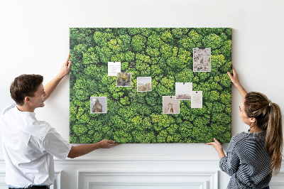 Tablero de anuncios Un bosque verde con vegetación densa