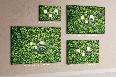 Tablero de anuncios Un bosque verde con vegetación densa
