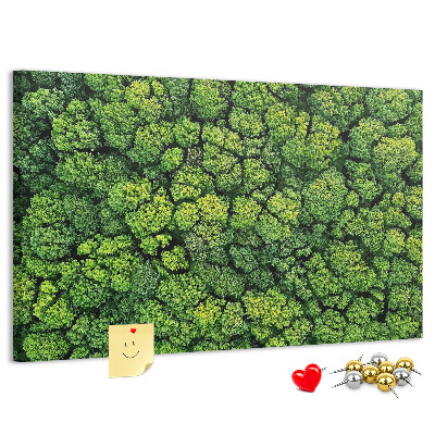 Tablero de anuncios Un bosque verde con vegetación densa