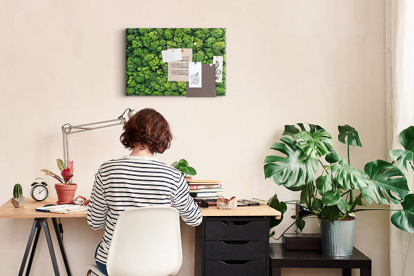 Tablero de anuncios Un bosque verde con vegetación densa