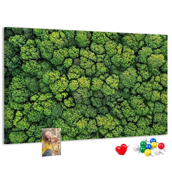 Tablero de anuncios Un bosque verde con vegetación densa