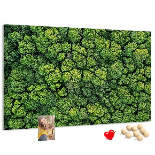 Tablero de anuncios Un bosque verde con vegetación densa