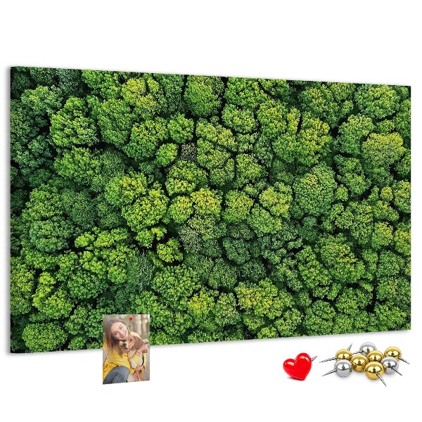 Tablero de anuncios Un bosque verde con vegetación densa