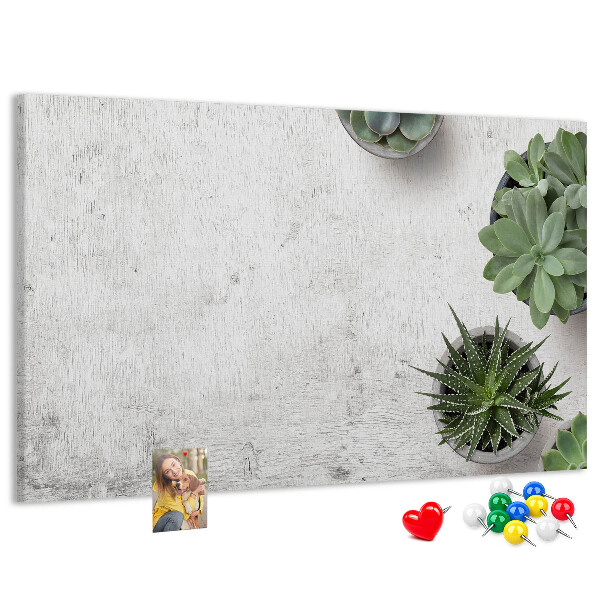 Tablero de corcho decorado plantas en maceta sobre un fondo gris