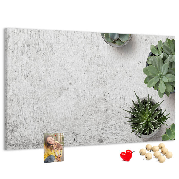 Tablero de corcho decorado plantas en maceta sobre un fondo gris