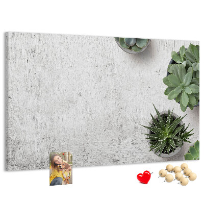 Tablero de corcho decorado plantas en maceta sobre un fondo gris