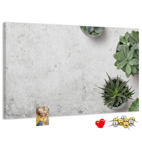 Tablero de corcho decorado plantas en maceta sobre un fondo gris