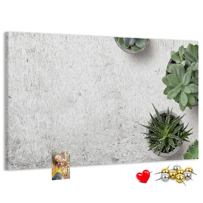 Tablero de corcho decorado plantas en maceta sobre un fondo gris