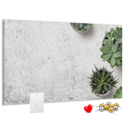 Tablero de corcho decorado plantas en maceta sobre un fondo gris