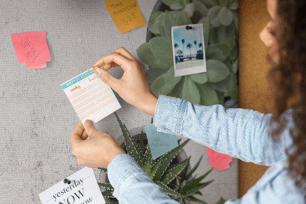 Tablero de corcho decorado plantas en maceta sobre un fondo gris
