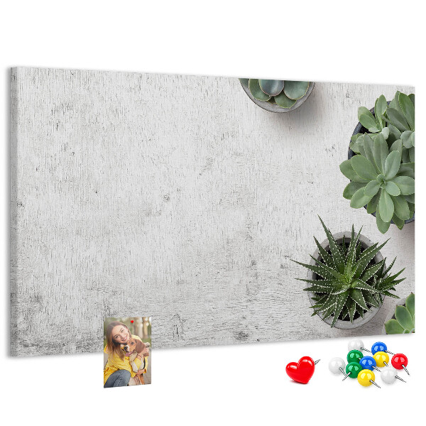 Tablero de corcho decorado plantas en maceta sobre un fondo gris