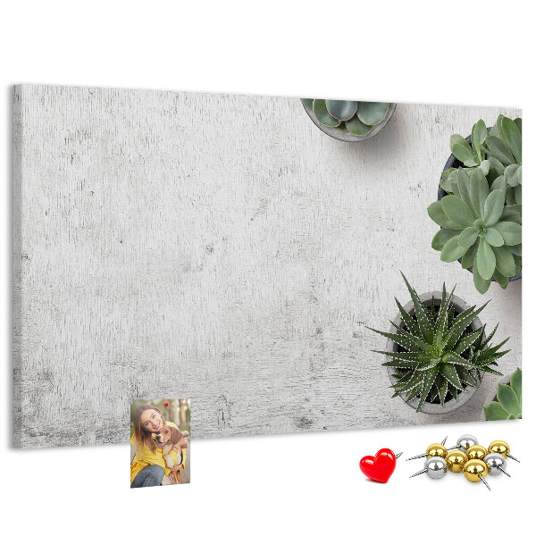 Tablero de corcho decorado plantas en maceta sobre un fondo gris