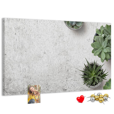 Tablero de corcho decorado plantas en maceta sobre un fondo gris