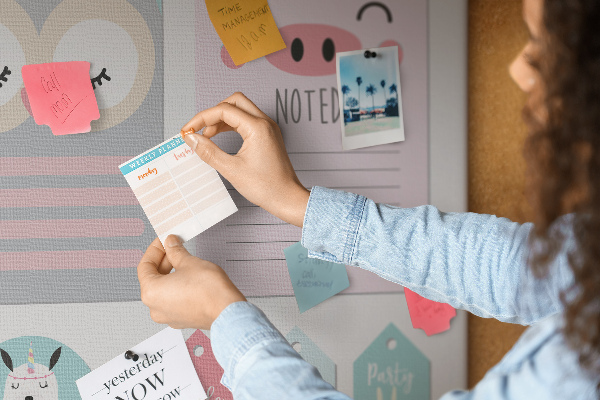 Pizarra de corcho con diseño de cuadernos coloridos y animales