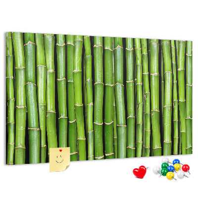 Pizarra de corcho Tallos de bambú verde en su disposición natural.
