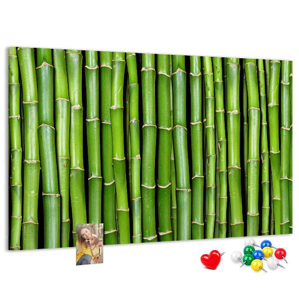 Pizarra de corcho Tallos de bambú verde en su disposición natural.