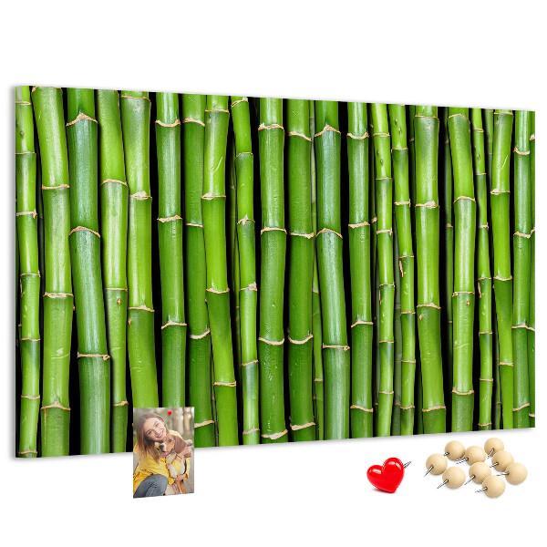 Pizarra de corcho Tallos de bambú verde en su disposición natural.
