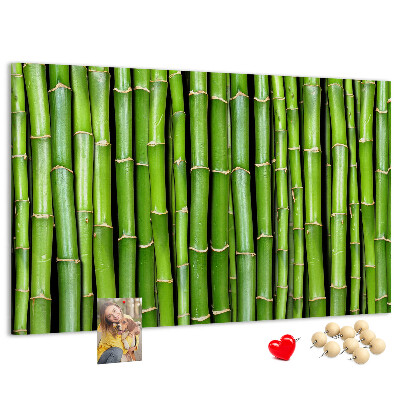 Pizarra de corcho Tallos de bambú verde en su disposición natural.
