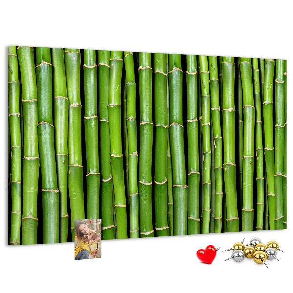 Pizarra de corcho Tallos de bambú verde en su disposición natural.