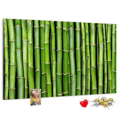 Pizarra de corcho Tallos de bambú verde en su disposición natural.