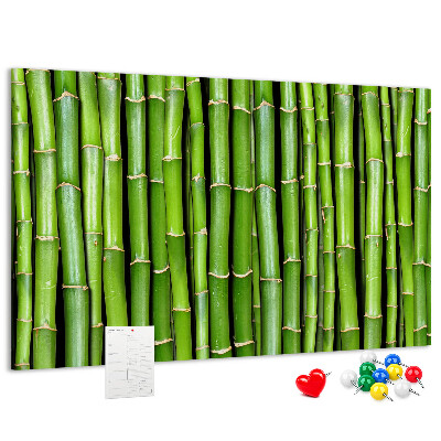 Pizarra de corcho Tallos de bambú verde en su disposición natural.