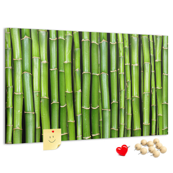 Pizarra de corcho Tallos de bambú verde en su disposición natural.