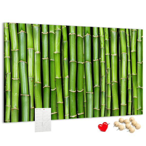 Pizarra de corcho Tallos de bambú verde en su disposición natural.