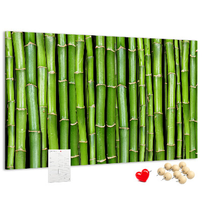 Pizarra de corcho Tallos de bambú verde en su disposición natural.