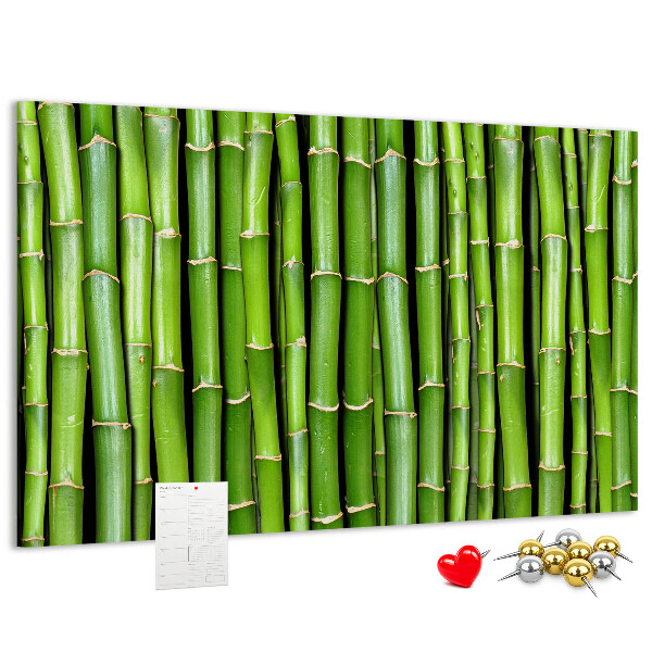 Pizarra de corcho Tallos de bambú verde en su disposición natural.