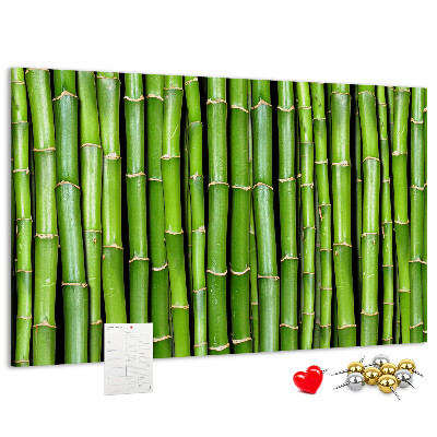 Pizarra de corcho Tallos de bambú verde en su disposición natural.