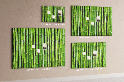 Pizarra de corcho Tallos de bambú verde en su disposición natural.