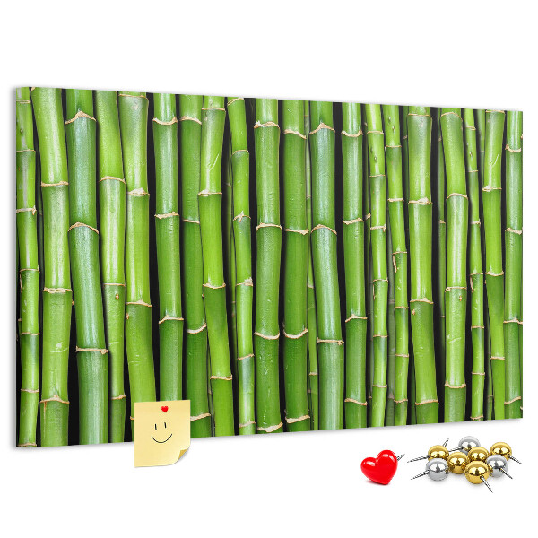 Pizarra de corcho Tallos de bambú verde en su disposición natural.