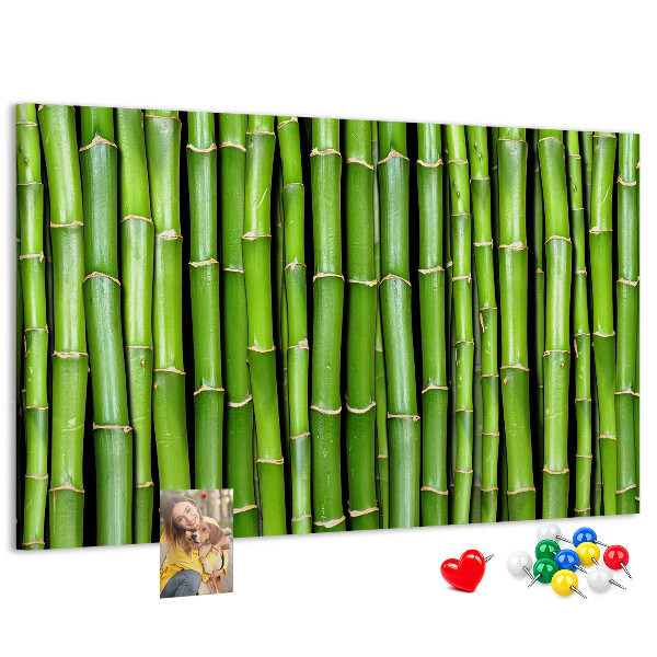 Pizarra de corcho Tallos de bambú verde en su disposición natural.