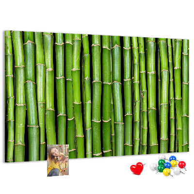Pizarra de corcho Tallos de bambú verde en su disposición natural.