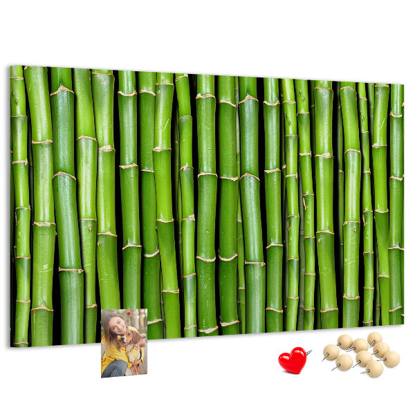 Pizarra de corcho Tallos de bambú verde en su disposición natural.