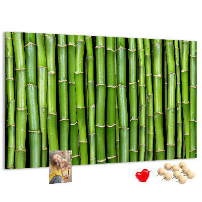 Pizarra de corcho Tallos de bambú verde en su disposición natural.