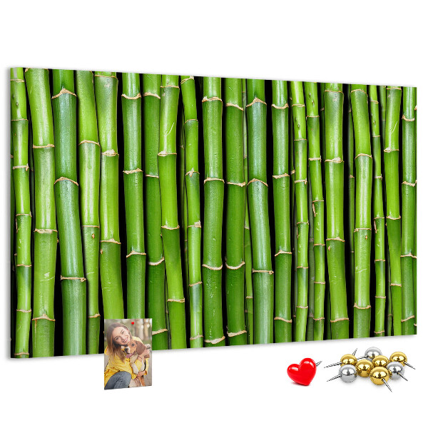 Pizarra de corcho Tallos de bambú verde en su disposición natural.