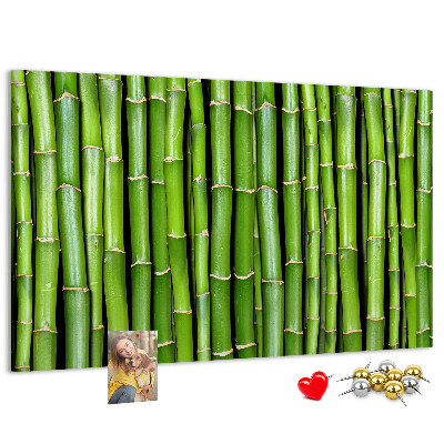 Pizarra de corcho Tallos de bambú verde en su disposición natural.