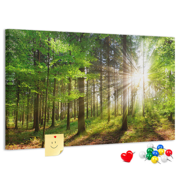 Tablero de corcho decorado Rayos de sol en el bosque verde