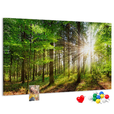 Tablero de corcho decorado Rayos de sol en el bosque verde