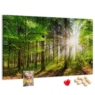 Tablero de corcho decorado Rayos de sol en el bosque verde
