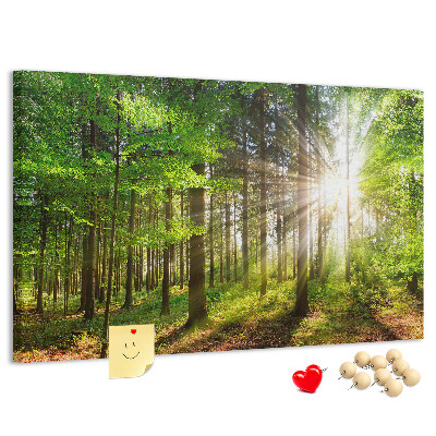Tablero de corcho decorado Rayos de sol en el bosque verde