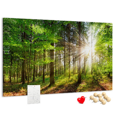 Tablero de corcho decorado Rayos de sol en el bosque verde