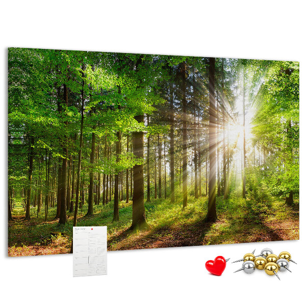 Tablero de corcho decorado Rayos de sol en el bosque verde