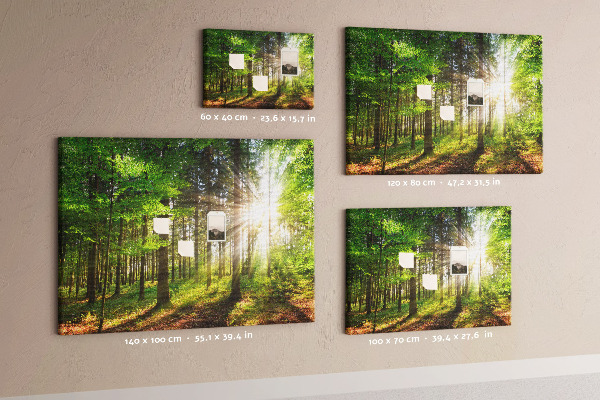 Tablero de corcho decorado Rayos de sol en el bosque verde