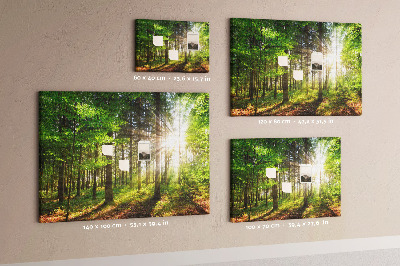 Tablero de corcho decorado Rayos de sol en el bosque verde