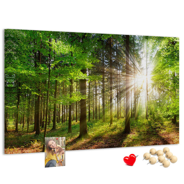 Tablero de corcho decorado Rayos de sol en el bosque verde