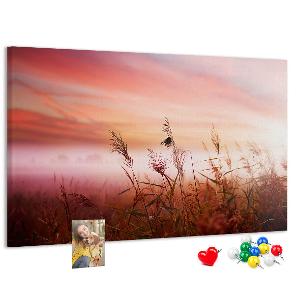 Tablero de anuncios con diseño de puesta de sol sobre un campo de hierba