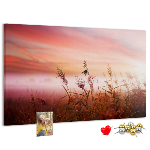 Tablero de anuncios con diseño de puesta de sol sobre un campo de hierba